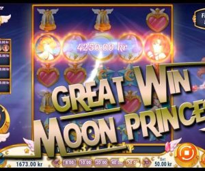 Try Your Luck With Moon Princess at Vera & John – Vera John Top Hit Casino Game